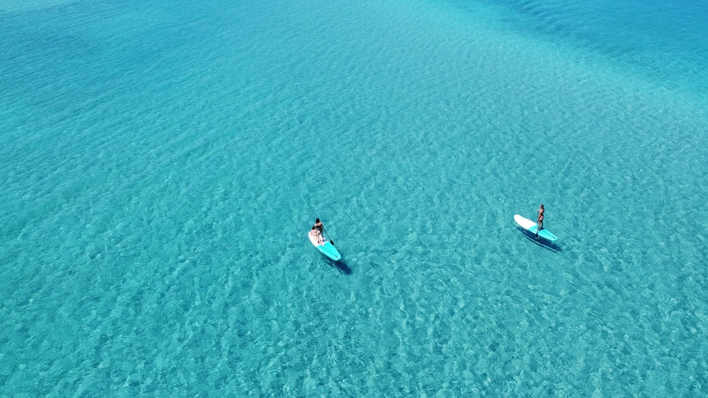 Two people on standup paddleboards
