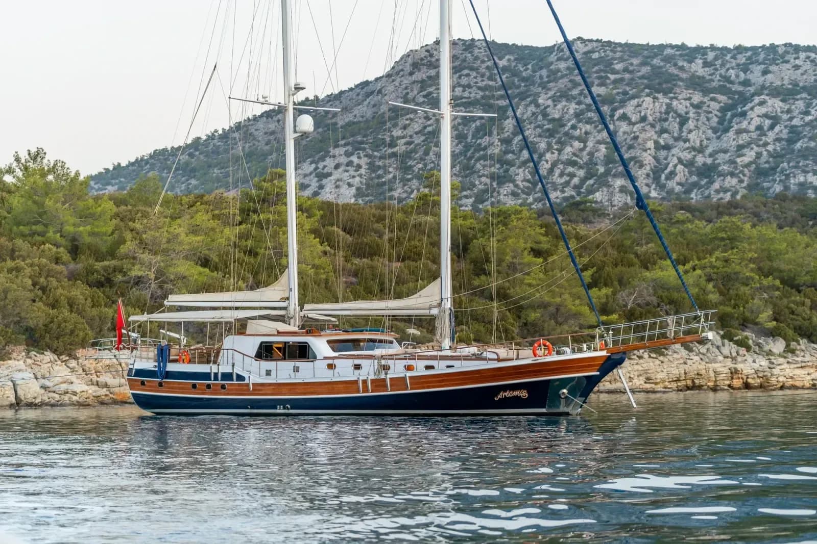 Artemis photo 4