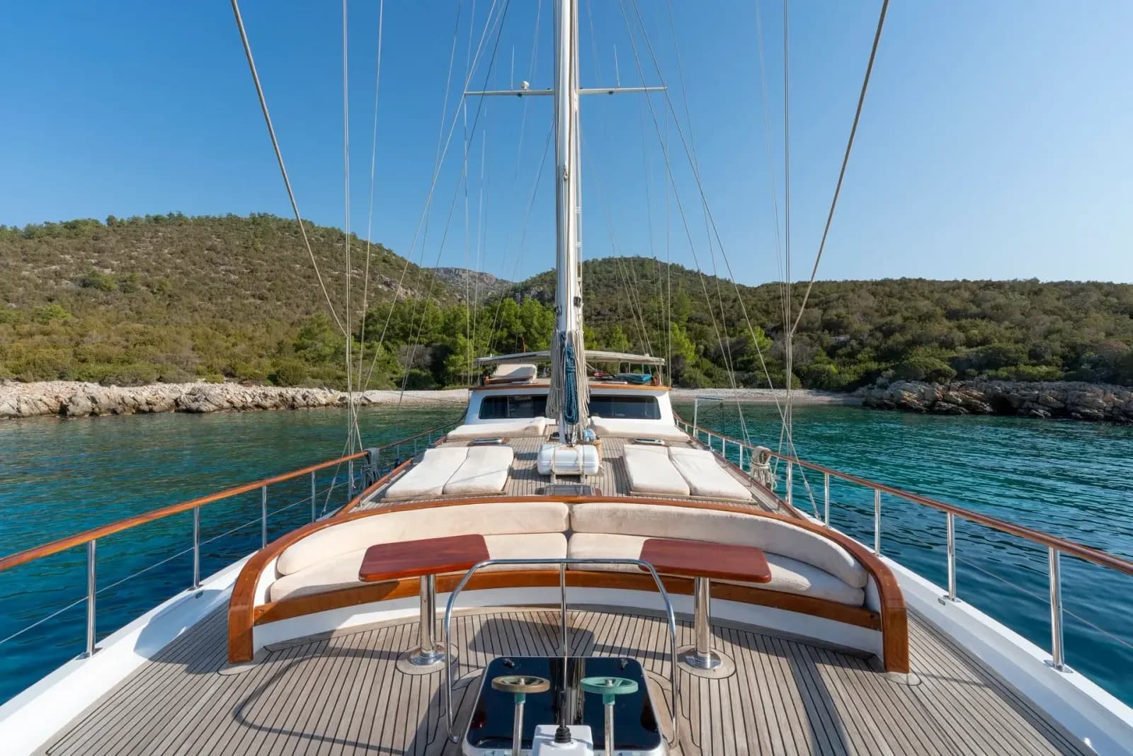 Artemis photo 10