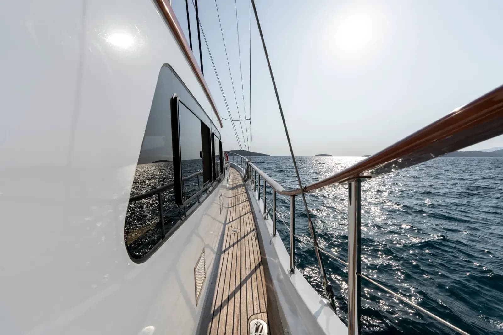 Artemis photo 17