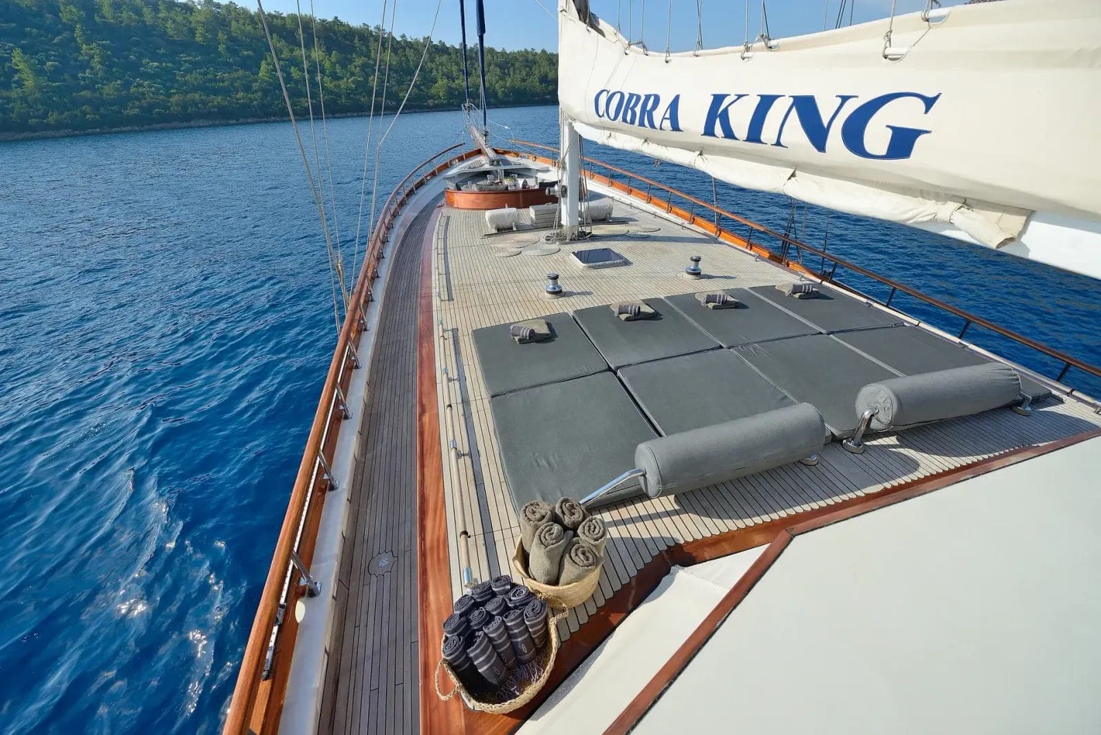 Cobra King photo 5