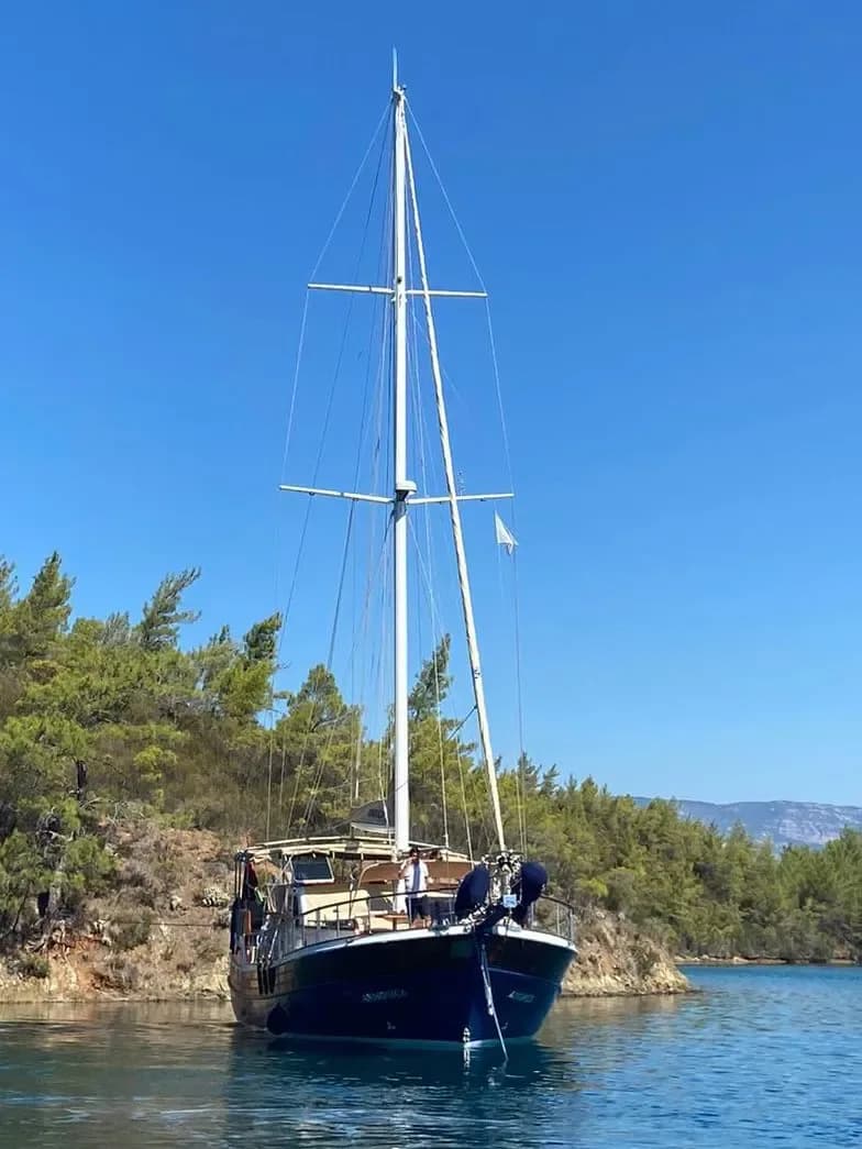 Armonica photo 4